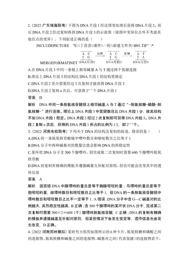 第17讲DNA的结构、复制及基因的本质_2024年新高考资料_1.2024一轮复习_2024年高考生物一轮复习讲义（新人教版）_另附1套Word版题库_必修2_第六单元遗传的分子基础