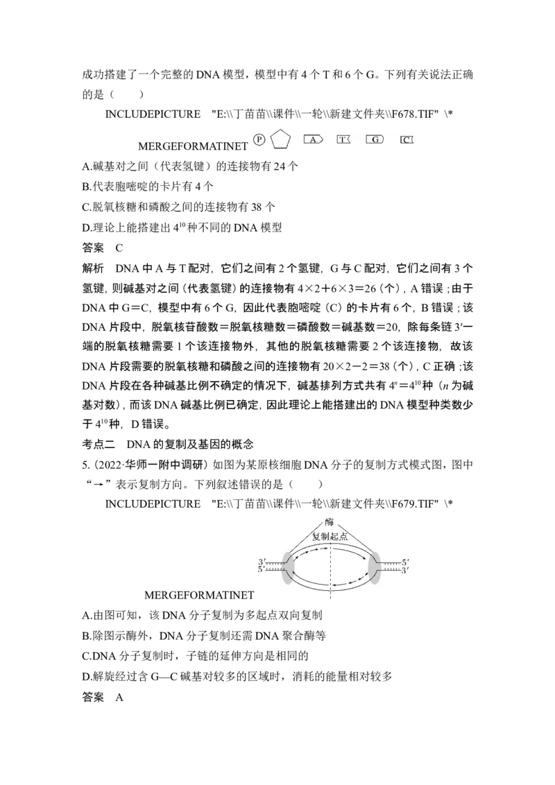 第17讲DNA的结构、复制及基因的本质_2024年新高考资料_1.2024一轮复习_2024年高考生物一轮复习讲义（新人教版）_另附1套Word版题库_必修2_第六单元遗传的分子基础