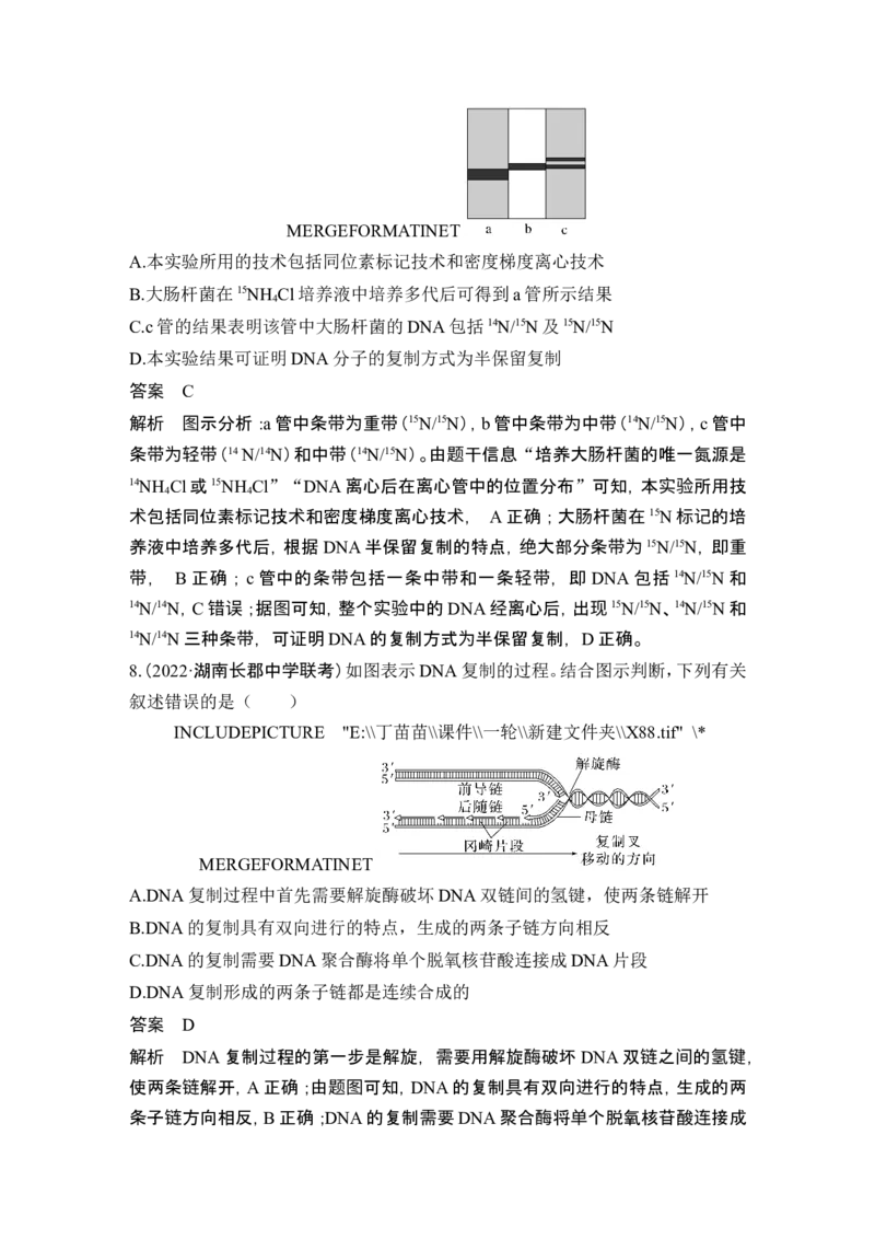 第17讲DNA的结构、复制及基因的本质_2024年新高考资料_1.2024一轮复习_2024年高考生物一轮复习讲义（新人教版）_另附1套Word版题库_必修2_第六单元遗传的分子基础