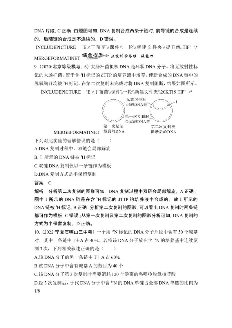 第17讲DNA的结构、复制及基因的本质_2024年新高考资料_1.2024一轮复习_2024年高考生物一轮复习讲义（新人教版）_另附1套Word版题库_必修2_第六单元遗传的分子基础