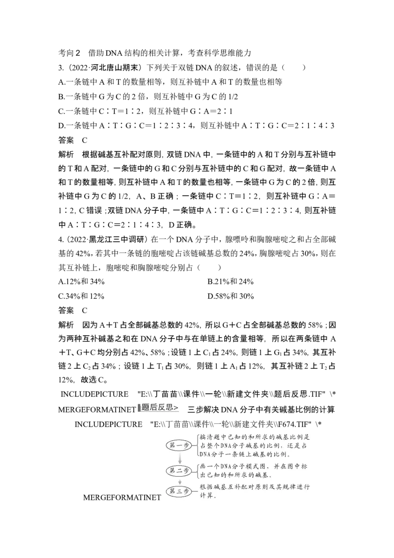 第17讲DNA的结构、复制及基因的本质_2024年新高考资料_1.2024一轮复习_2024年高考生物一轮复习讲义（新人教版）_另附1套Word版题库_必修2_第六单元遗传的分子基础