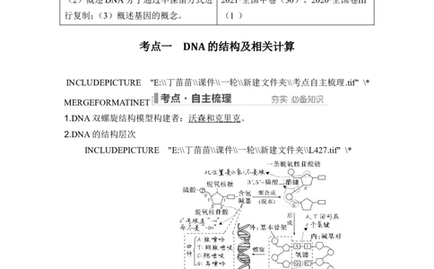 第17讲DNA的结构、复制及基因的本质_2024年新高考资料_1.2024一轮复习_2024年高考生物一轮复习讲义（新人教版）_另附1套Word版题库_必修2_第六单元遗传的分子基础