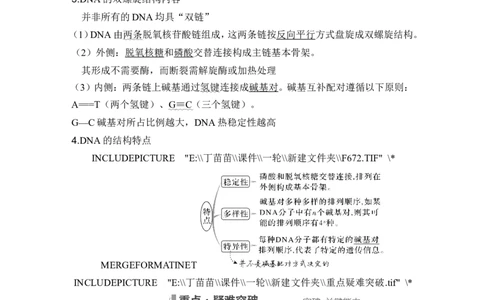 第17讲DNA的结构、复制及基因的本质_2024年新高考资料_1.2024一轮复习_2024年高考生物一轮复习讲义（新人教版）_另附1套Word版题库_必修2_第六单元遗传的分子基础