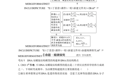 第17讲DNA的结构、复制及基因的本质_2024年新高考资料_1.2024一轮复习_2024年高考生物一轮复习讲义（新人教版）_另附1套Word版题库_必修2_第六单元遗传的分子基础