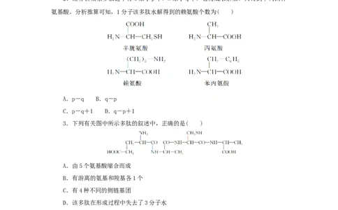 2023版新教材高考生物微专题小练习专练6蛋白质的计算分析202208091228_通用版（老高考）复习资料_2023年复习资料_一轮复习_2023届高考生物一轮微专题100练