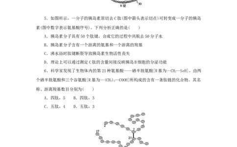 2023版新教材高考生物微专题小练习专练6蛋白质的计算分析202208091228_通用版（老高考）复习资料_2023年复习资料_一轮复习_2023届高考生物一轮微专题100练