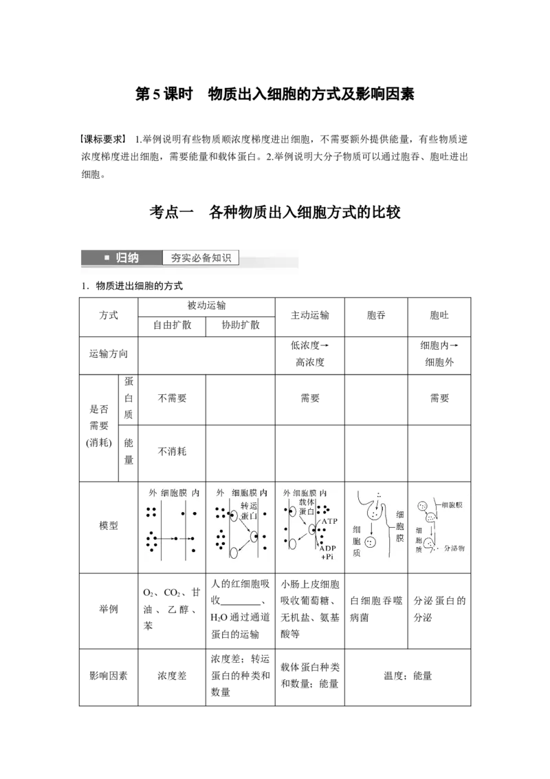 第2单元　第5课时　物质出入细胞的方式及影响因素_2024年新高考资料_1.2024一轮复习_2024年高考生物一轮复习讲义（新人教版）_学生版在此文件夹_大一轮复习讲义