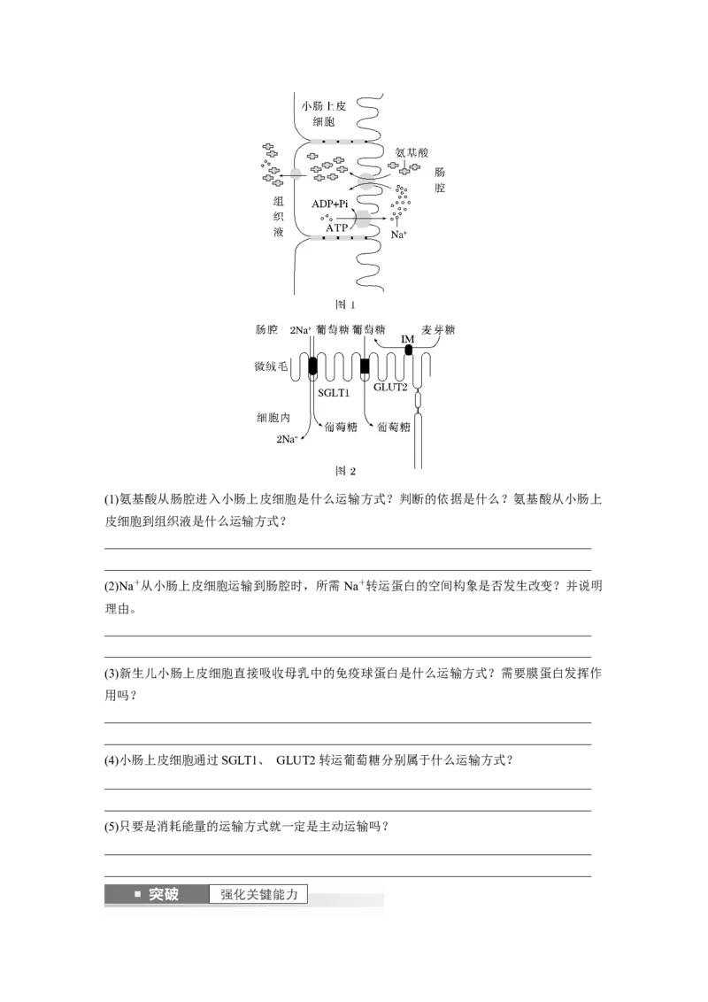 第2单元　第5课时　物质出入细胞的方式及影响因素_2024年新高考资料_1.2024一轮复习_2024年高考生物一轮复习讲义（新人教版）_学生版在此文件夹_大一轮复习讲义