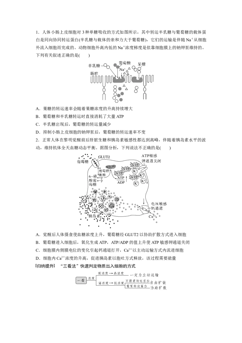 第2单元　第5课时　物质出入细胞的方式及影响因素_2024年新高考资料_1.2024一轮复习_2024年高考生物一轮复习讲义（新人教版）_学生版在此文件夹_大一轮复习讲义