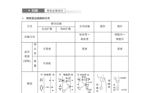 第2单元　第5课时　物质出入细胞的方式及影响因素_2024年新高考资料_1.2024一轮复习_2024年高考生物一轮复习讲义（新人教版）_学生版在此文件夹_大一轮复习讲义