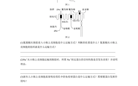第2单元　第5课时　物质出入细胞的方式及影响因素_2024年新高考资料_1.2024一轮复习_2024年高考生物一轮复习讲义（新人教版）_学生版在此文件夹_大一轮复习讲义