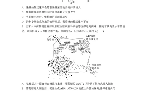 第2单元　第5课时　物质出入细胞的方式及影响因素_2024年新高考资料_1.2024一轮复习_2024年高考生物一轮复习讲义（新人教版）_学生版在此文件夹_大一轮复习讲义