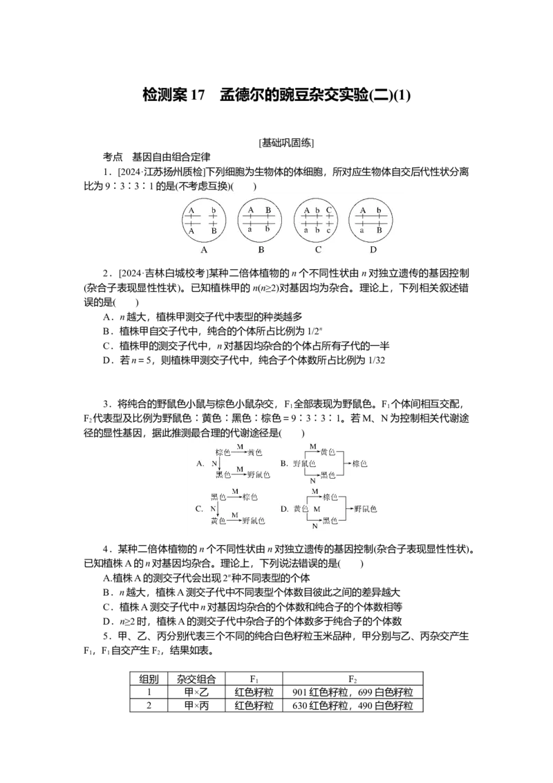 2025届高中生物学一轮复习检测案17　孟德尔的豌豆杂交实验(二)(1)（含解析）_2025年新高考资料_一轮复习_2025届高中生物学一轮复习分层复习检测(含解析)