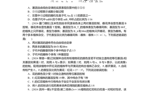 2025届高中生物学一轮复习检测案17　孟德尔的豌豆杂交实验(二)(1)（含解析）_2025年新高考资料_一轮复习_2025届高中生物学一轮复习分层复习检测(含解析)