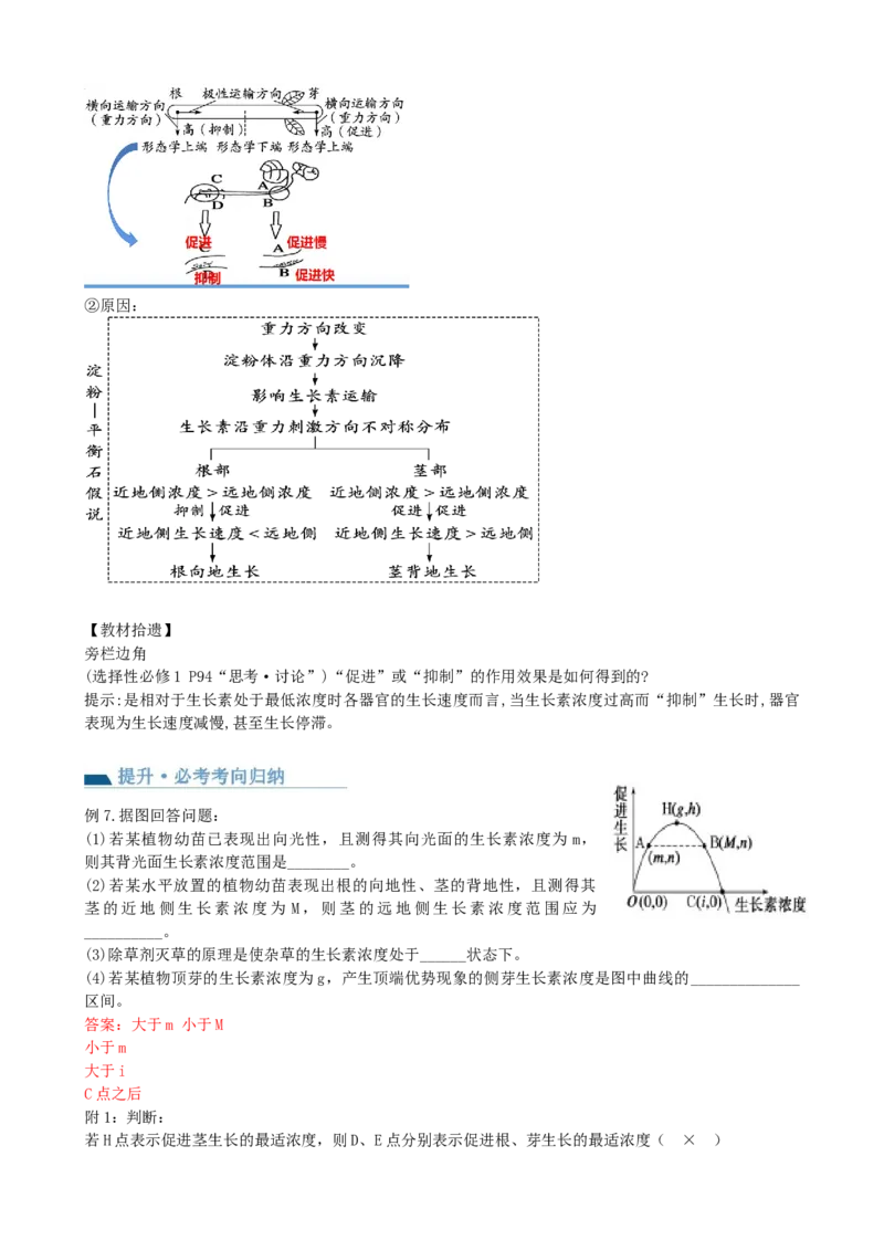 第32.1讲植物生长素（讲义）（教师版）_2024年新高考资料_1.2024一轮复习_2024年高考生物一轮复习讲练测（新教材新高考）