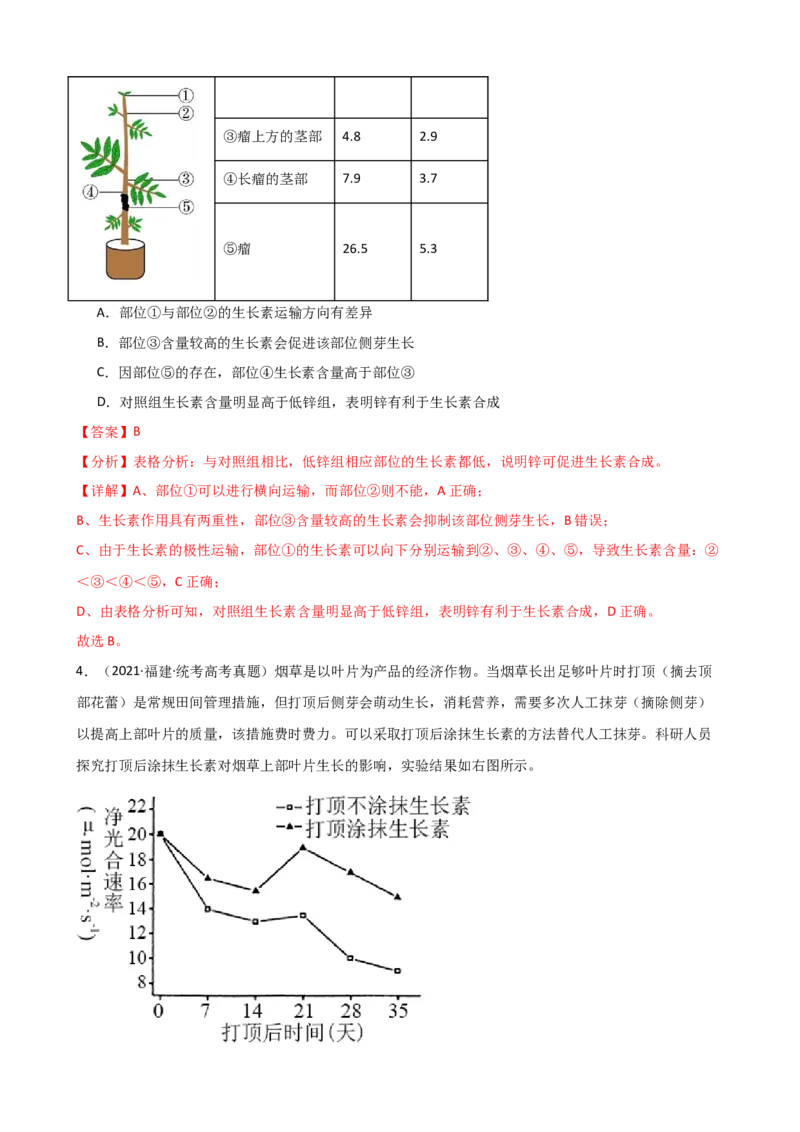 第32.1讲植物生长素（讲义）（教师版）_2024年新高考资料_1.2024一轮复习_2024年高考生物一轮复习讲练测（新教材新高考）