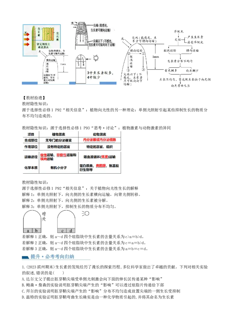 第32.1讲植物生长素（讲义）（教师版）_2024年新高考资料_1.2024一轮复习_2024年高考生物一轮复习讲练测（新教材新高考）