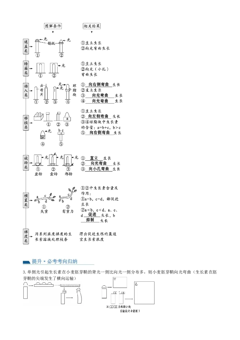 第32.1讲植物生长素（讲义）（教师版）_2024年新高考资料_1.2024一轮复习_2024年高考生物一轮复习讲练测（新教材新高考）