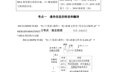 第18讲基因的表达_2024年新高考资料_1.2024一轮复习_2024年高考生物一轮复习讲义（新人教版）_另附1套Word版题库_必修2_第六单元遗传的分子基础