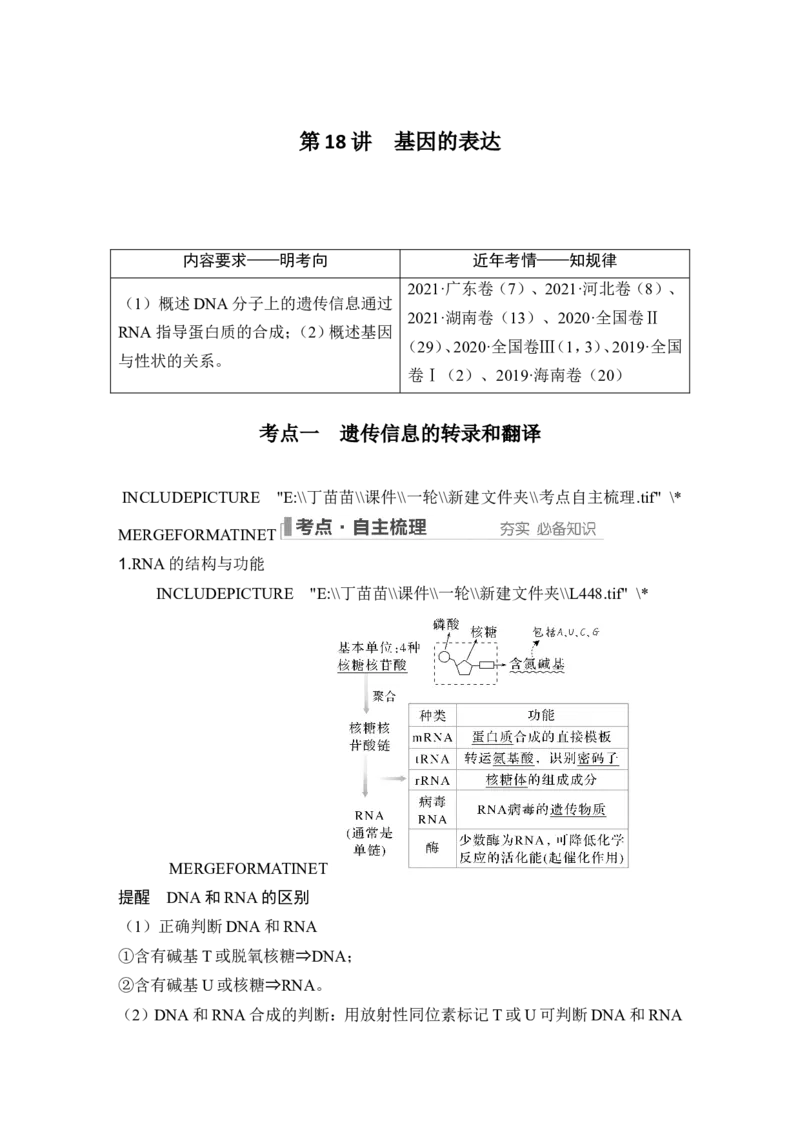 第18讲基因的表达_2024年新高考资料_1.2024一轮复习_2024年高考生物一轮复习讲义（新人教版）_另附1套Word版题库_必修2_第六单元遗传的分子基础