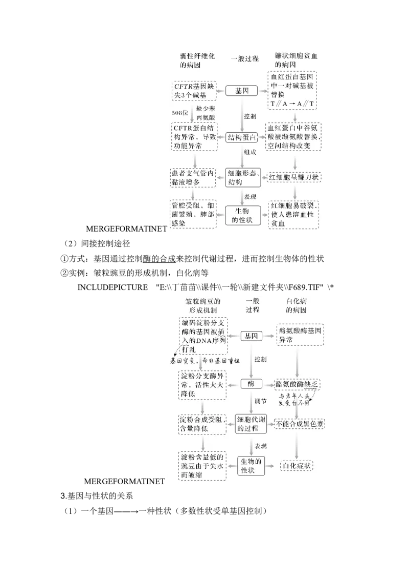 第18讲基因的表达_2024年新高考资料_1.2024一轮复习_2024年高考生物一轮复习讲义（新人教版）_另附1套Word版题库_必修2_第六单元遗传的分子基础