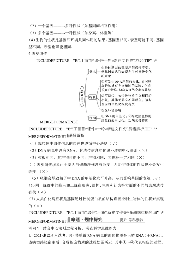 第18讲基因的表达_2024年新高考资料_1.2024一轮复习_2024年高考生物一轮复习讲义（新人教版）_另附1套Word版题库_必修2_第六单元遗传的分子基础