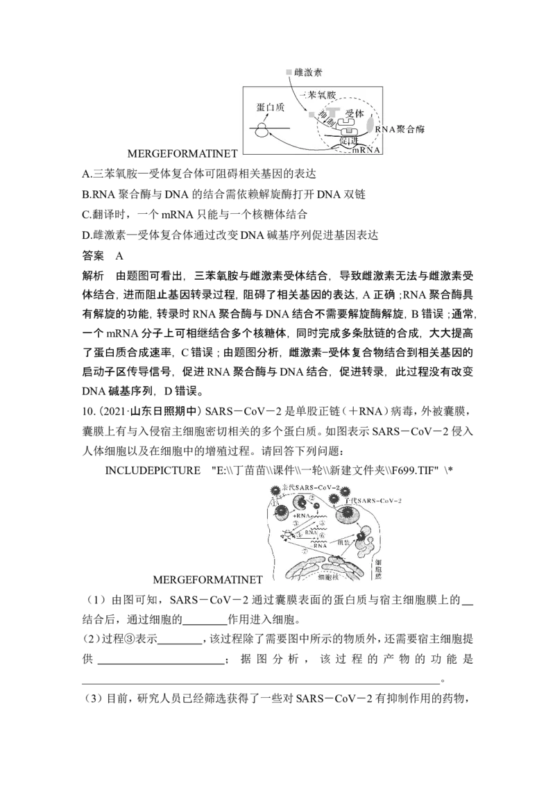 第18讲基因的表达_2024年新高考资料_1.2024一轮复习_2024年高考生物一轮复习讲义（新人教版）_另附1套Word版题库_必修2_第六单元遗传的分子基础