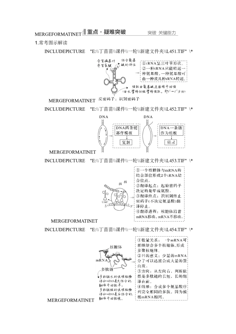 第18讲基因的表达_2024年新高考资料_1.2024一轮复习_2024年高考生物一轮复习讲义（新人教版）_另附1套Word版题库_必修2_第六单元遗传的分子基础
