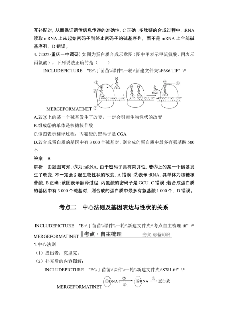 第18讲基因的表达_2024年新高考资料_1.2024一轮复习_2024年高考生物一轮复习讲义（新人教版）_另附1套Word版题库_必修2_第六单元遗传的分子基础