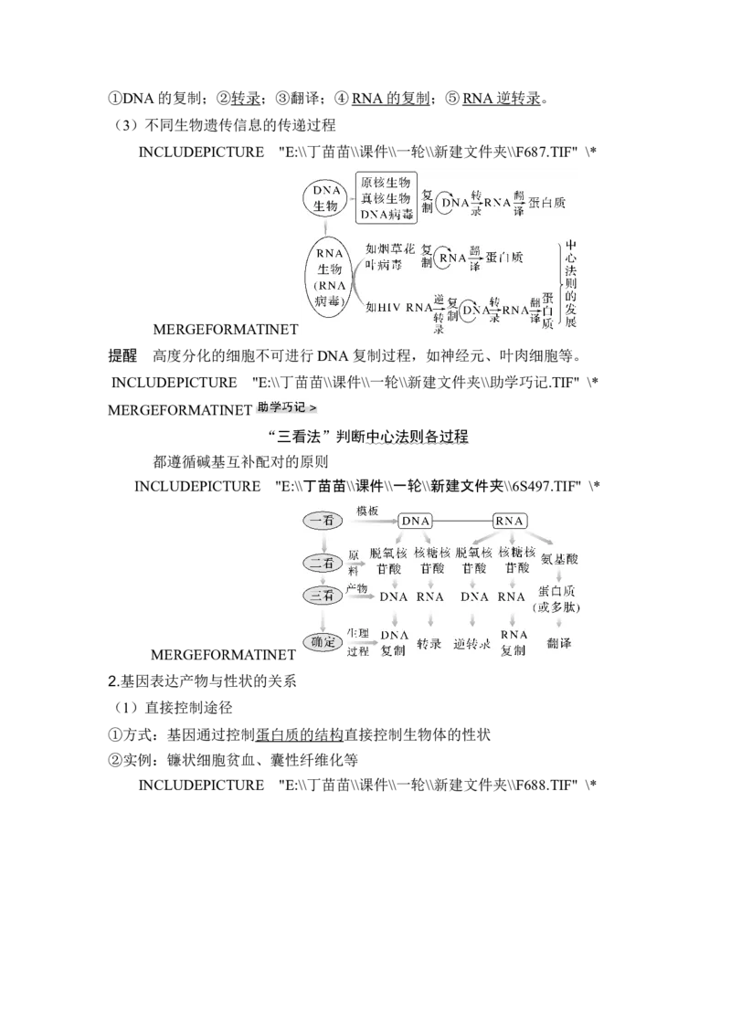 第18讲基因的表达_2024年新高考资料_1.2024一轮复习_2024年高考生物一轮复习讲义（新人教版）_另附1套Word版题库_必修2_第六单元遗传的分子基础