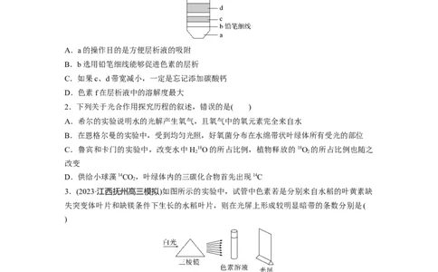 第3单元　课时练5　捕获光能的色素和结构及光合作用的原理_2024年新高考资料_1.2024一轮复习_2024年高考生物一轮复习讲义（新人教版）_学生版在此文件夹_一轮复习69练