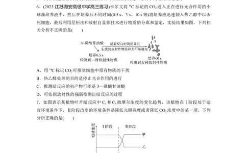第3单元　课时练5　捕获光能的色素和结构及光合作用的原理_2024年新高考资料_1.2024一轮复习_2024年高考生物一轮复习讲义（新人教版）_学生版在此文件夹_一轮复习69练