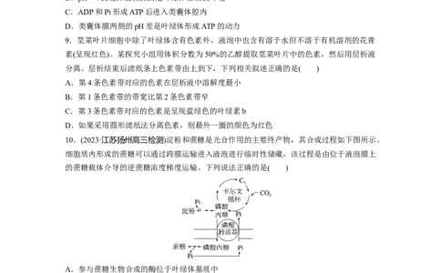 第3单元　课时练5　捕获光能的色素和结构及光合作用的原理_2024年新高考资料_1.2024一轮复习_2024年高考生物一轮复习讲义（新人教版）_学生版在此文件夹_一轮复习69练