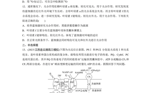 第3单元　课时练5　捕获光能的色素和结构及光合作用的原理_2024年新高考资料_1.2024一轮复习_2024年高考生物一轮复习讲义（新人教版）_学生版在此文件夹_一轮复习69练