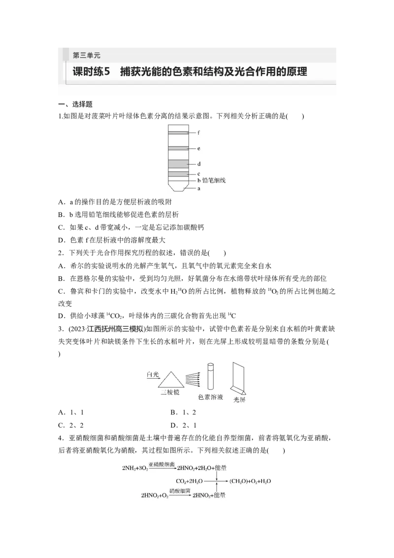 第3单元　课时练5　捕获光能的色素和结构及光合作用的原理_2024年新高考资料_1.2024一轮复习_2024年高考生物一轮复习讲义（新人教版）_学生版在此文件夹_一轮复习69练