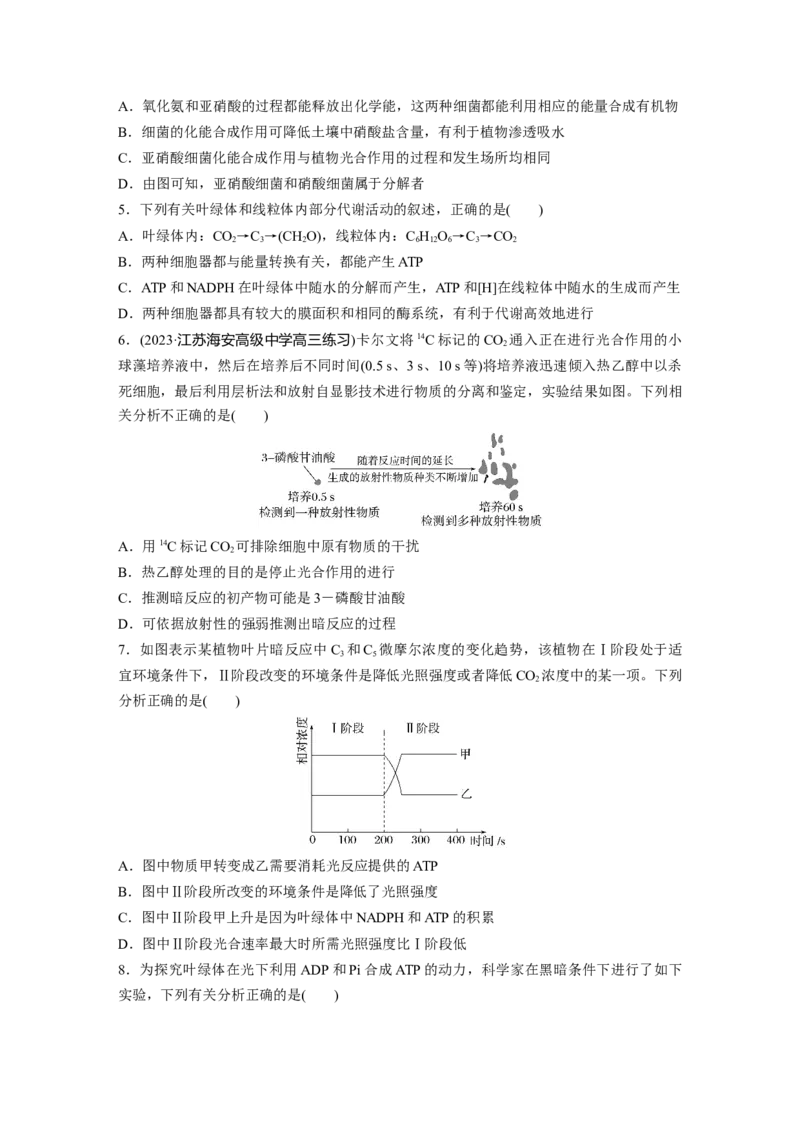 第3单元　课时练5　捕获光能的色素和结构及光合作用的原理_2024年新高考资料_1.2024一轮复习_2024年高考生物一轮复习讲义（新人教版）_学生版在此文件夹_一轮复习69练