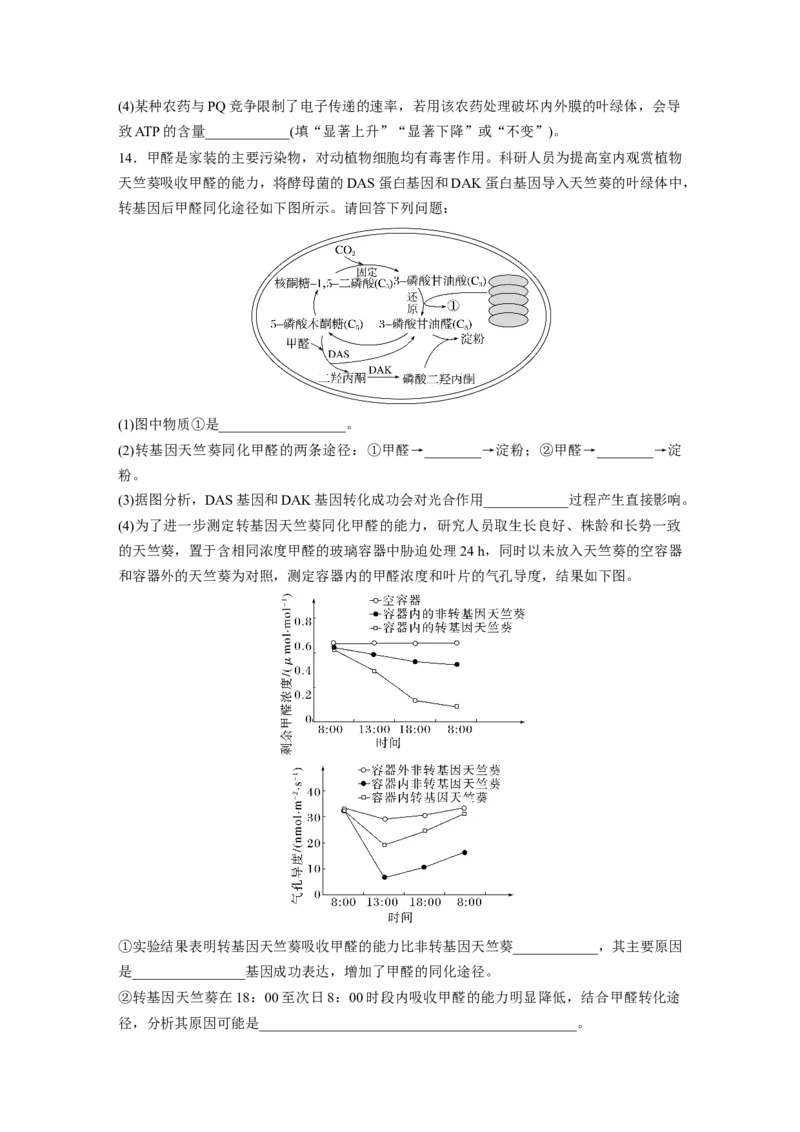第3单元　课时练5　捕获光能的色素和结构及光合作用的原理_2024年新高考资料_1.2024一轮复习_2024年高考生物一轮复习讲义（新人教版）_学生版在此文件夹_一轮复习69练