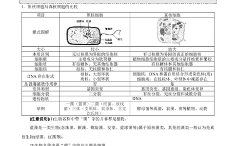 GKSW150_第1讲走近细胞-备战2022年高考生物一轮复习精品讲义（人教版）(原卷版)_新高考复习资料_2022年新高考复习资料_备战2022新高考生物一轮复习精品讲义（人教版）