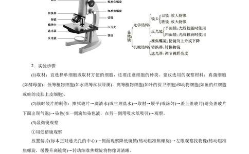 GKSW150_第1讲走近细胞-备战2022年高考生物一轮复习精品讲义（人教版）(原卷版)_新高考复习资料_2022年新高考复习资料_备战2022新高考生物一轮复习精品讲义（人教版）
