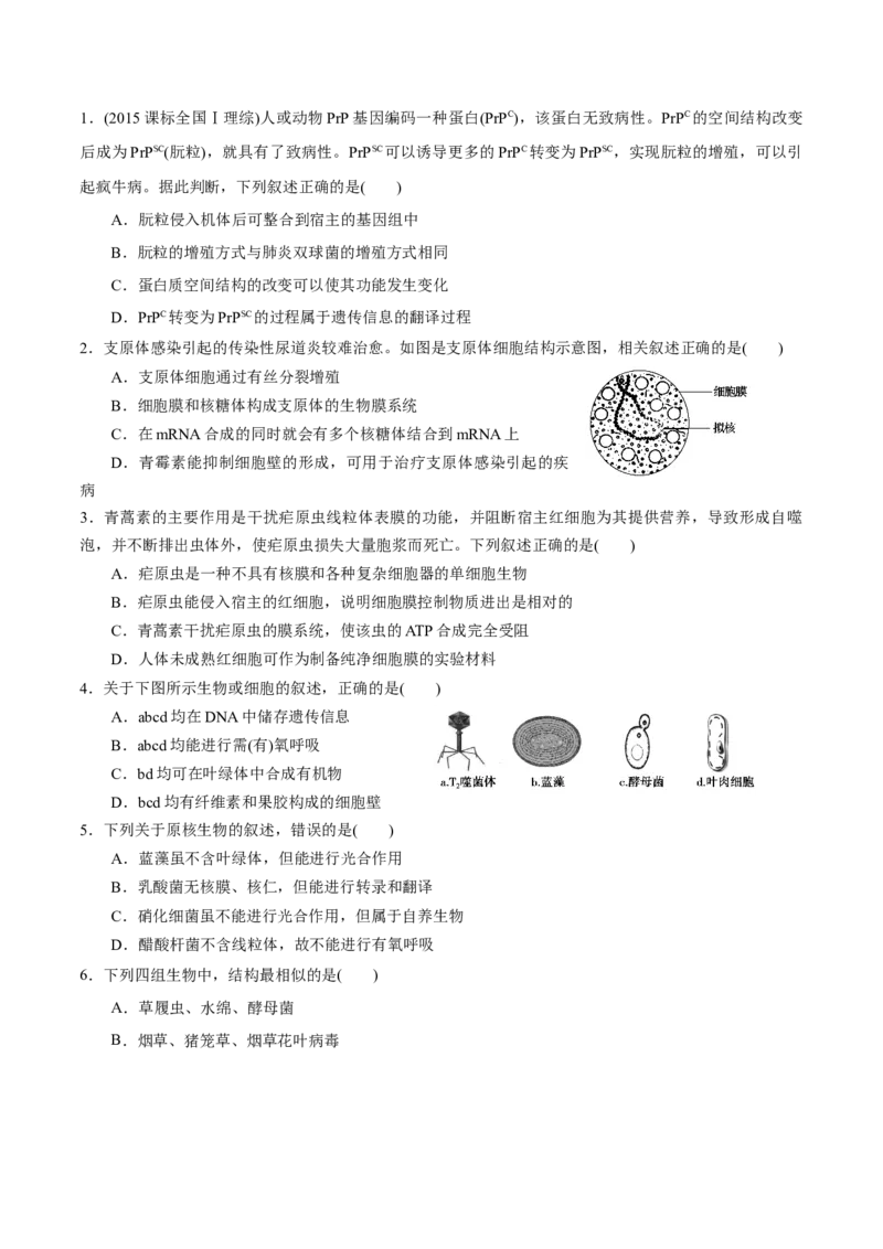 GKSW150_第1讲走近细胞-备战2022年高考生物一轮复习精品讲义（人教版）(原卷版)_新高考复习资料_2022年新高考复习资料_备战2022新高考生物一轮复习精品讲义（人教版）