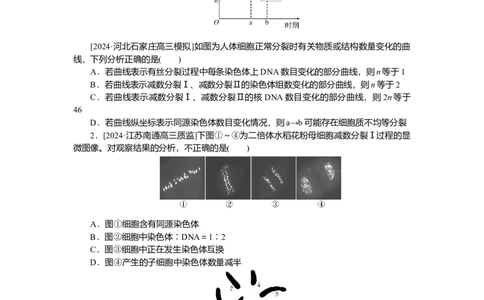 2025届高中生物学一轮复习检测案14　减数分裂和受精作用(二)（含解析）_2025年新高考资料_一轮复习_2025届高中生物学一轮复习分层复习检测(含解析)