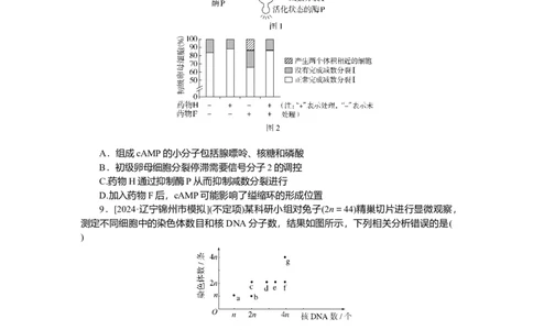 2025届高中生物学一轮复习检测案14　减数分裂和受精作用(二)（含解析）_2025年新高考资料_一轮复习_2025届高中生物学一轮复习分层复习检测(含解析)