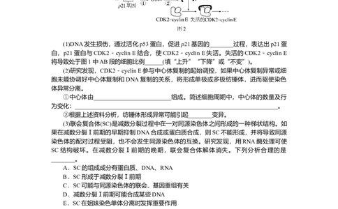2025届高中生物学一轮复习检测案14　减数分裂和受精作用(二)（含解析）_2025年新高考资料_一轮复习_2025届高中生物学一轮复习分层复习检测(含解析)