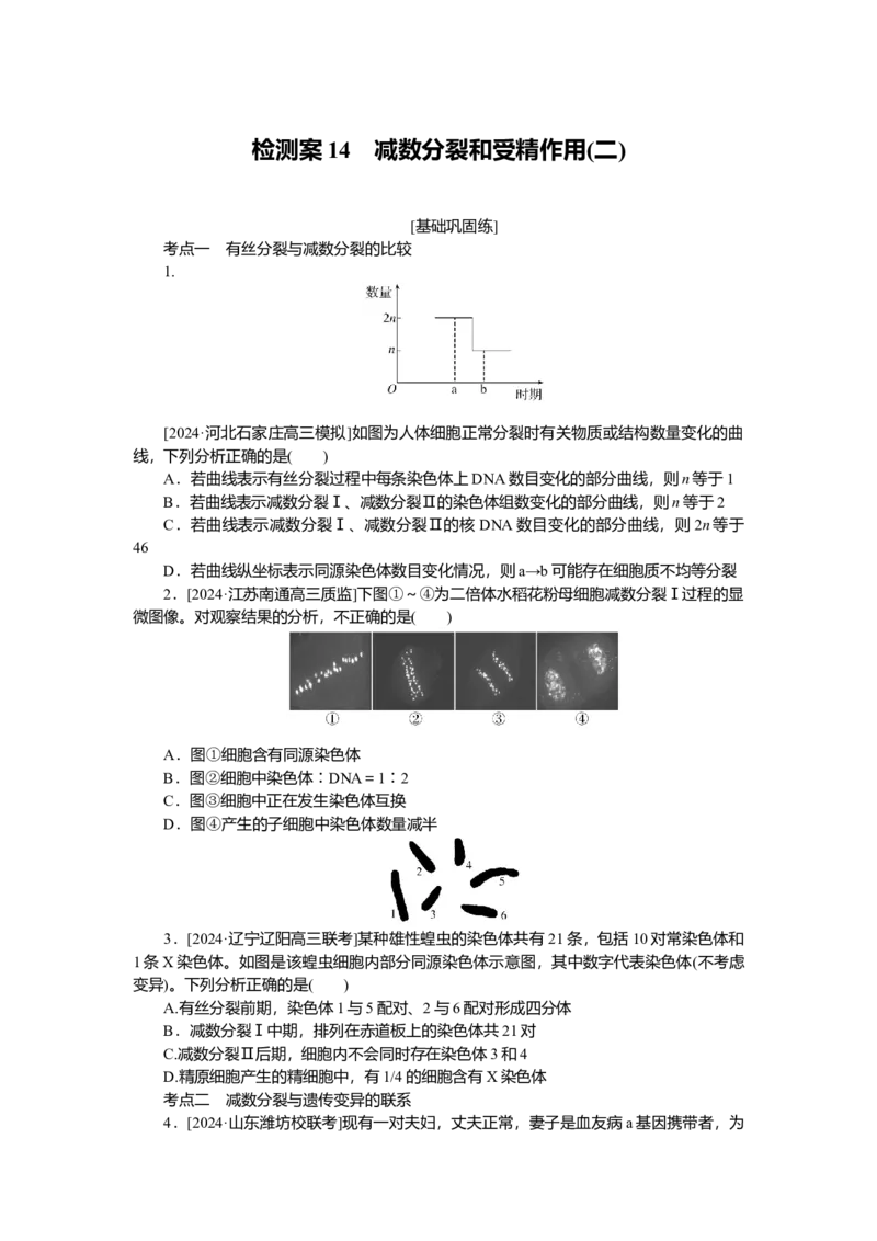 2025届高中生物学一轮复习检测案14　减数分裂和受精作用(二)（含解析）_2025年新高考资料_一轮复习_2025届高中生物学一轮复习分层复习检测(含解析)