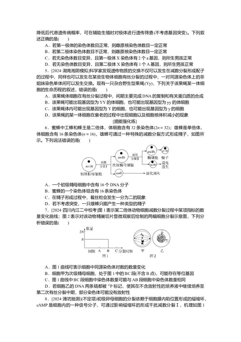 2025届高中生物学一轮复习检测案14　减数分裂和受精作用(二)（含解析）_2025年新高考资料_一轮复习_2025届高中生物学一轮复习分层复习检测(含解析)