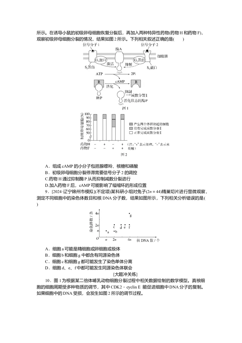 2025届高中生物学一轮复习检测案14　减数分裂和受精作用(二)（含解析）_2025年新高考资料_一轮复习_2025届高中生物学一轮复习分层复习检测(含解析)