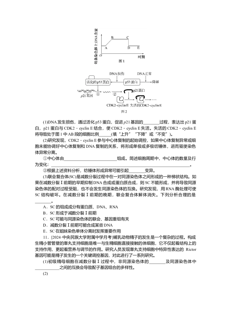 2025届高中生物学一轮复习检测案14　减数分裂和受精作用(二)（含解析）_2025年新高考资料_一轮复习_2025届高中生物学一轮复习分层复习检测(含解析)