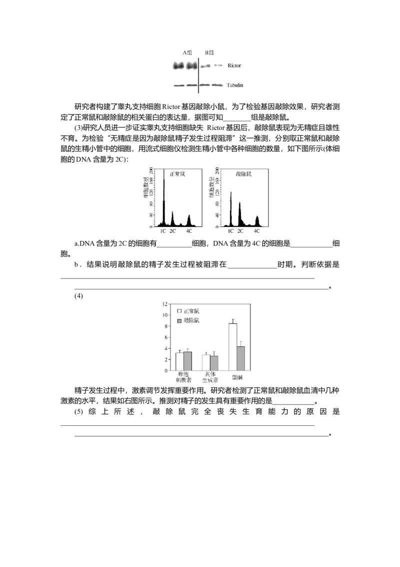 2025届高中生物学一轮复习检测案14　减数分裂和受精作用(二)（含解析）_2025年新高考资料_一轮复习_2025届高中生物学一轮复习分层复习检测(含解析)
