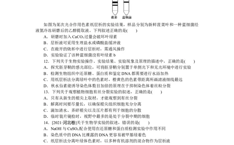 专练100　教材实验和实验设计、分析综合练_新高考复习资料_2023年新高考复习资料_专项复习_2023《微专题&middot;小练习》&middot;生物&middot;新教材&middot;XL-7