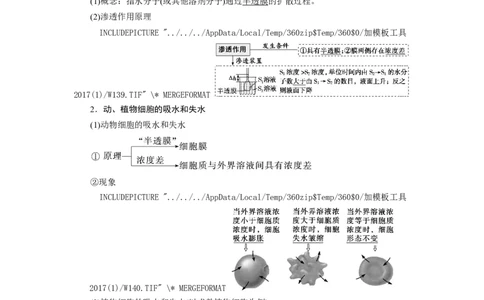 [12501770]高中生物一轮复习学案：第6讲　物质跨膜运输的实例和方式_新高考复习资料_2023年新高考复习资料_一轮复习_精讲精练2023届新高考生物一轮复习学案